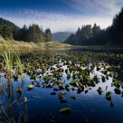 Tranquility